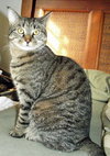Kennie (bonded with Katie)