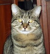 Kennie (bonded with Katie)