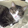 Kennie (bonded with Katie)