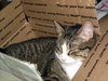 Kennie (bonded with Katie)