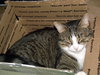 Kennie (bonded with Katie)