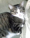 Kennie (bonded with Katie)