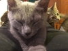 Stormy (bonded with Thunder)