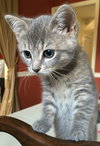 Stormy (bonded with Thunder)