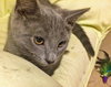Stormy (bonded with Thunder)