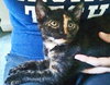 Andie (bonded with Blane)
