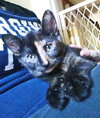 Andie (bonded with Blane)