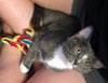 Somerset (bonded with Delmar, 