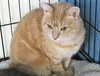 Brianna 2016 (bonded with Bailey 2016)