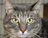 Brianna 2016 (bonded with Bailey 2016)