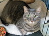 Brianna 2016 (bonded with Bailey 2016)