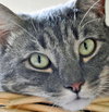 Brianna 2016 (bonded with Bailey 2016)