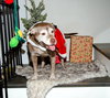 Coco - Photo 5