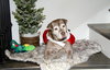 Coco - Photo 6
