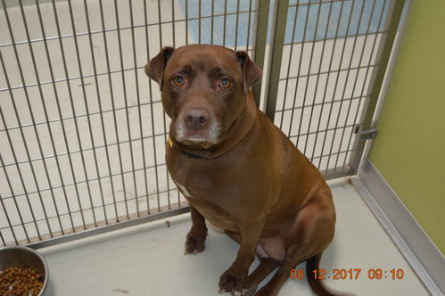 Coco, photo 12