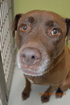 Coco - Photo 13