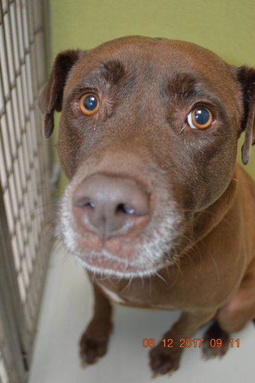 Coco, photo 13