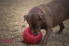 Coco - Photo 9