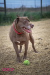 Coco - Photo 8