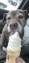 Coco - Photo 3