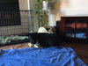 Bear - Photo 16