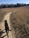 Bear - Photo 9