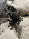 Charlie - Photo 8