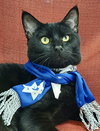 Dot (bonded with Nugget) - Photo 4
