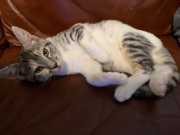 Bernadette