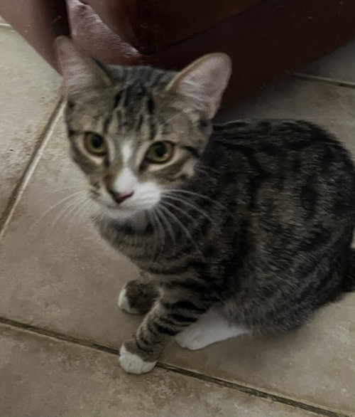 Photo 3 of Loki