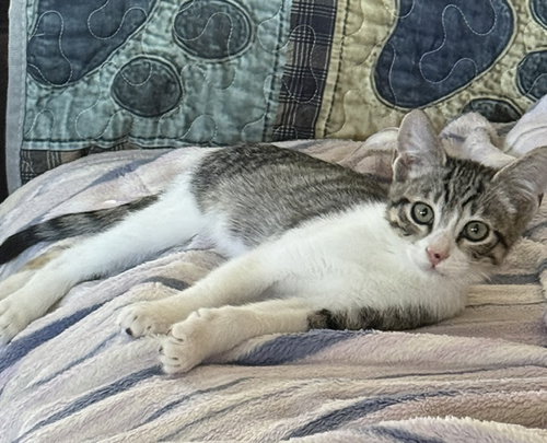 Felix photo 2