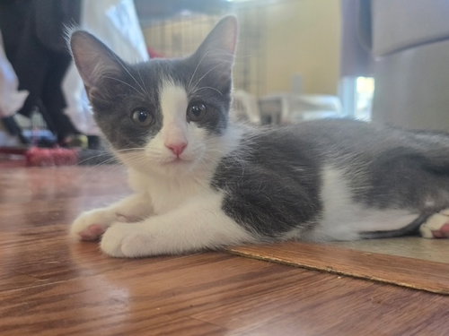 Catrick Swayze photo 3