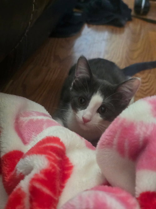 Catrick Swayze photo 4