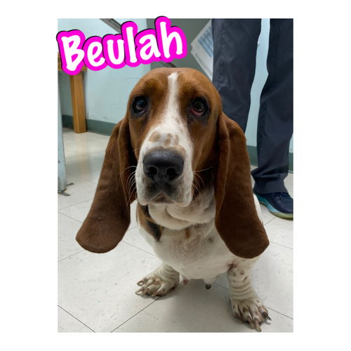 Beulah