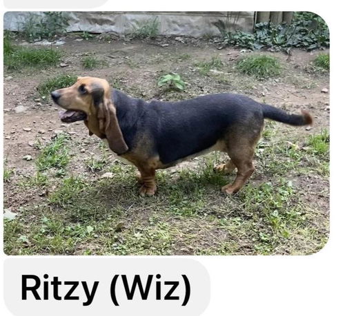 Ritzy (Witz)