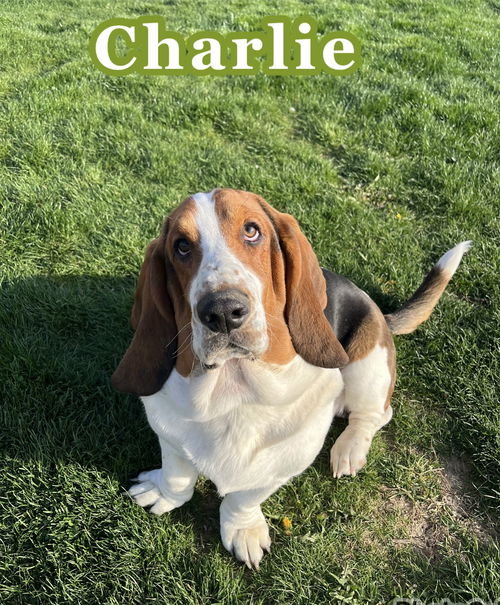 Charlie