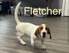 Fletcher