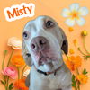 Misty