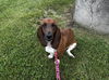 Ruby