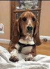 Winston (11-2025)