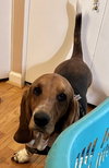 Winston (11-2025)