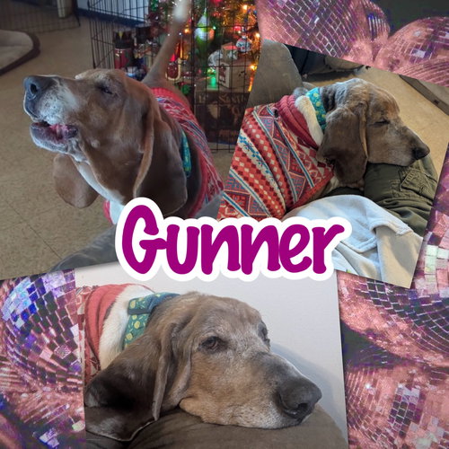 Gunner