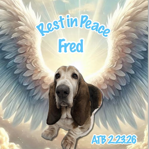 Fred ATB 2.33.26