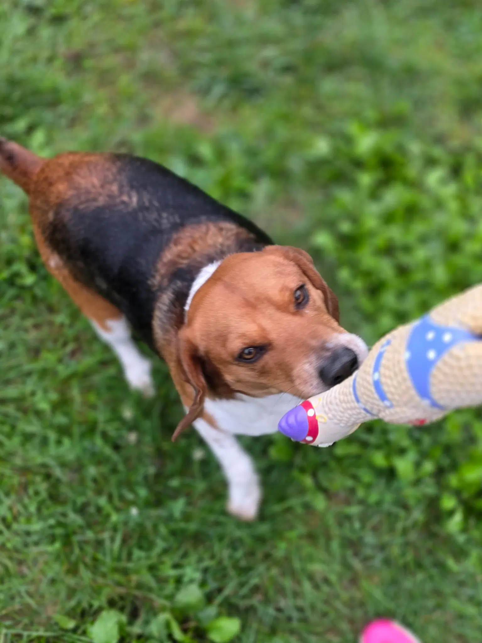 Turbo image 2