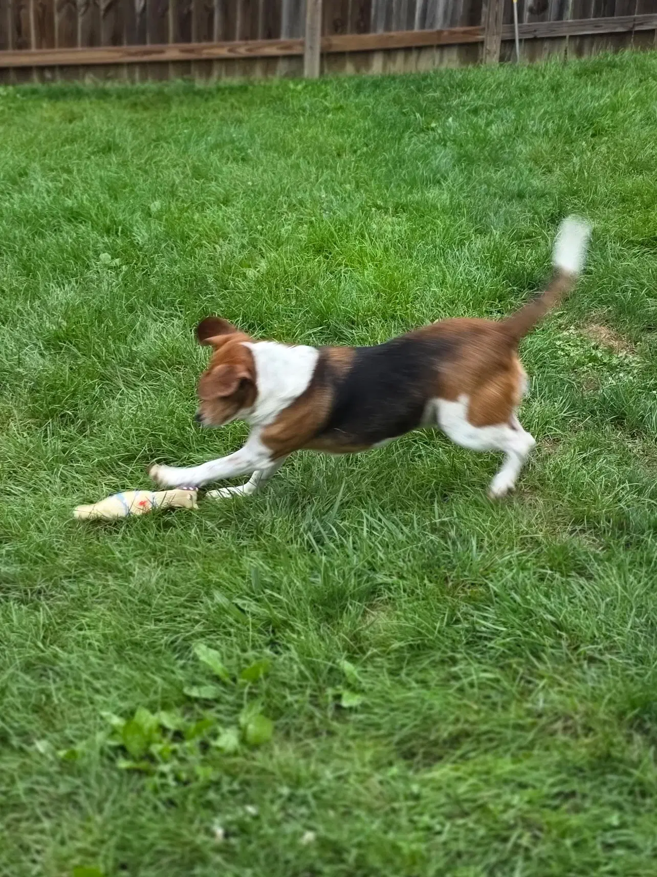 Turbo image 3
