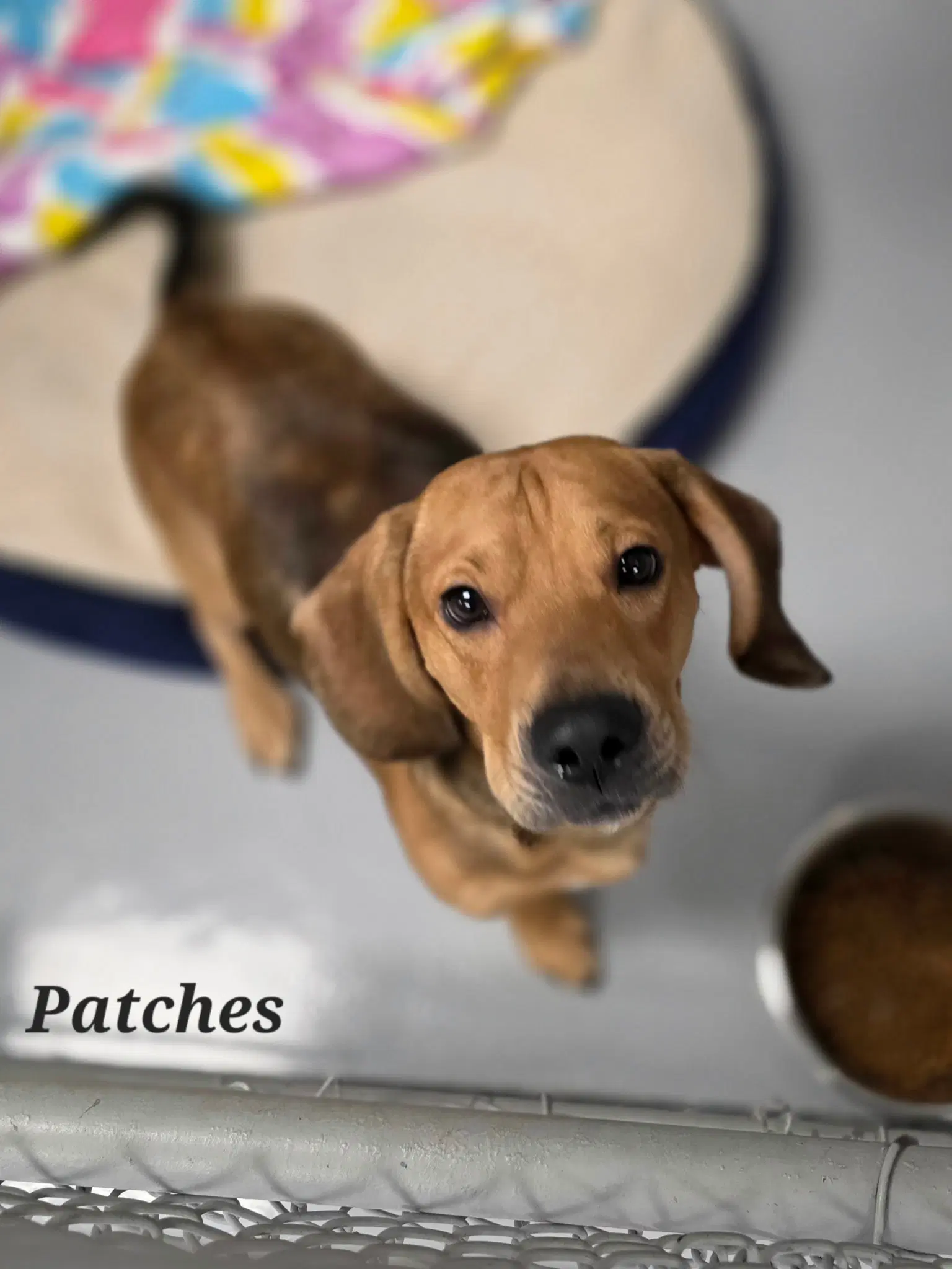 Patches image 2
