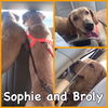 Sophie and Broly