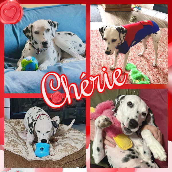Chérie