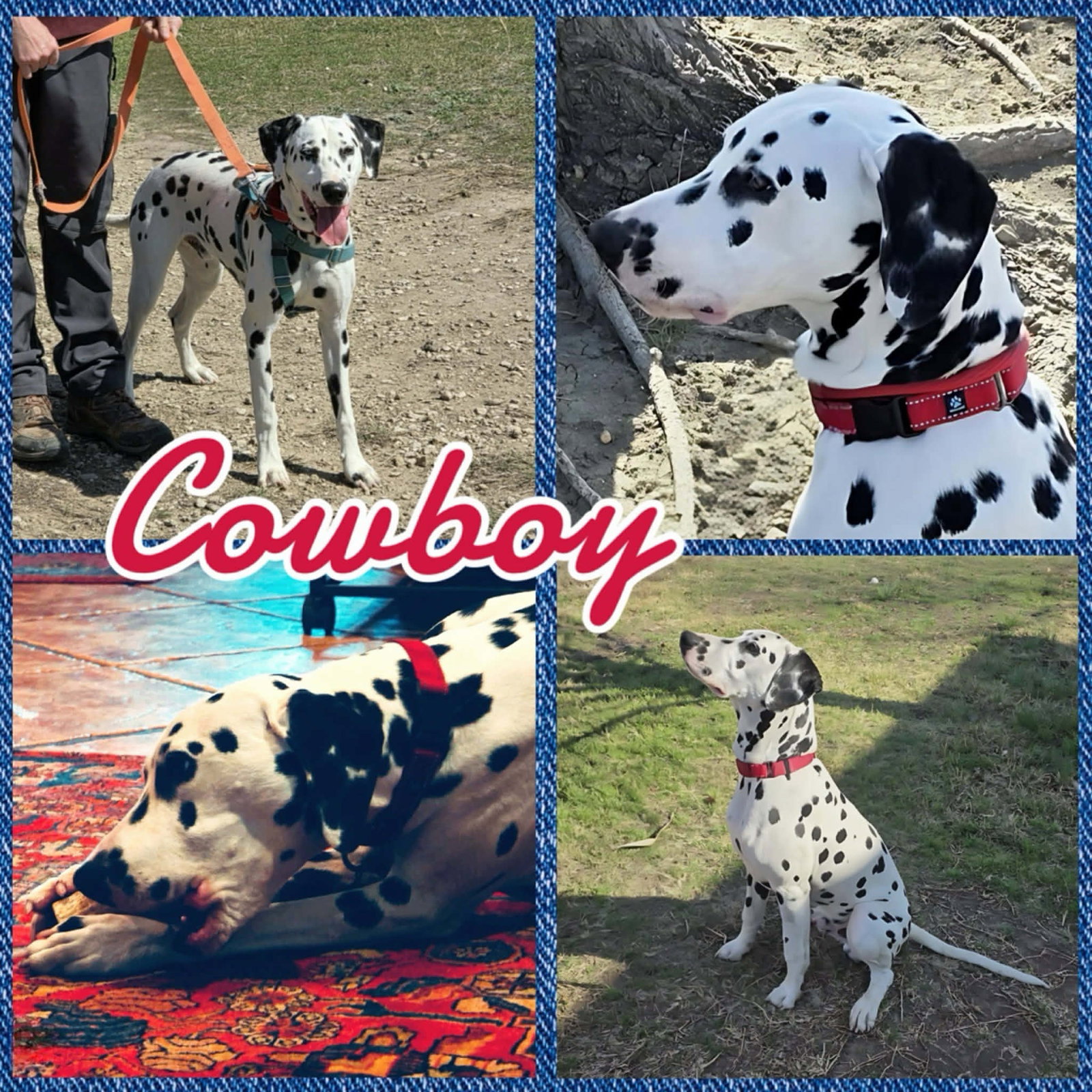 Cowboy