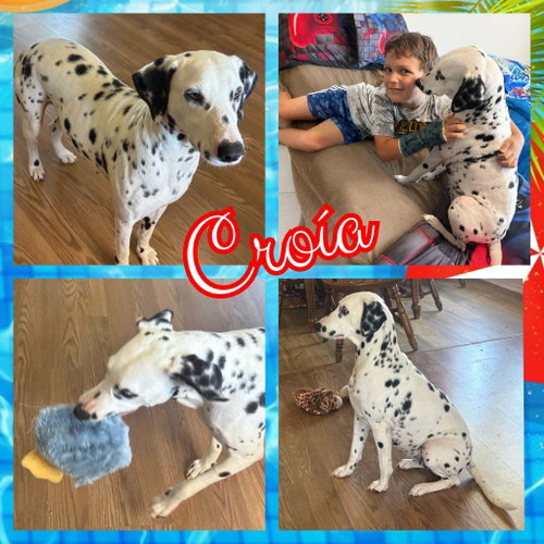 Croía